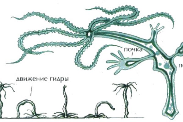 Запрещенный сайт кракен