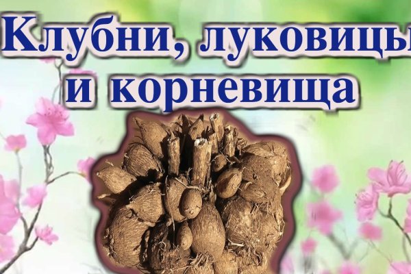 Угнали аккаунт кракен