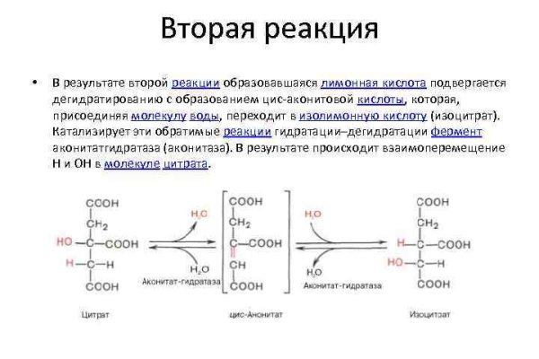 Кракен вход krakens13 at